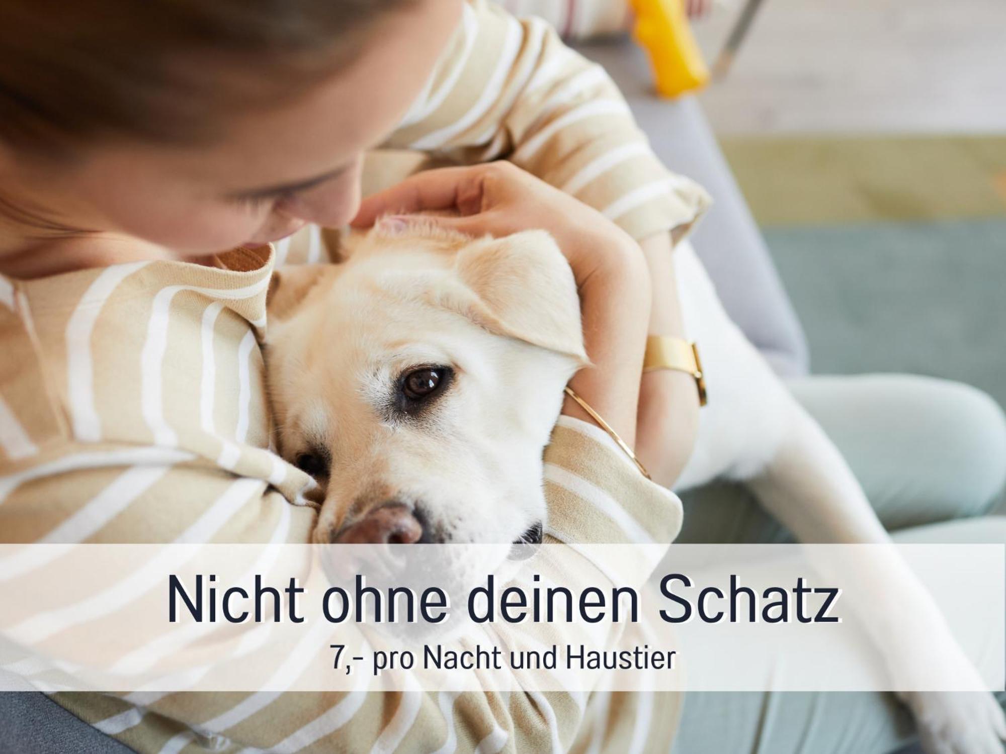 Ferienloft Sternenblick - Strandnah, Haustierfreundlich, Tolle Kueche, Optimal Fuer Workation, 4 Personen Steinberg  ภายนอก รูปภาพ