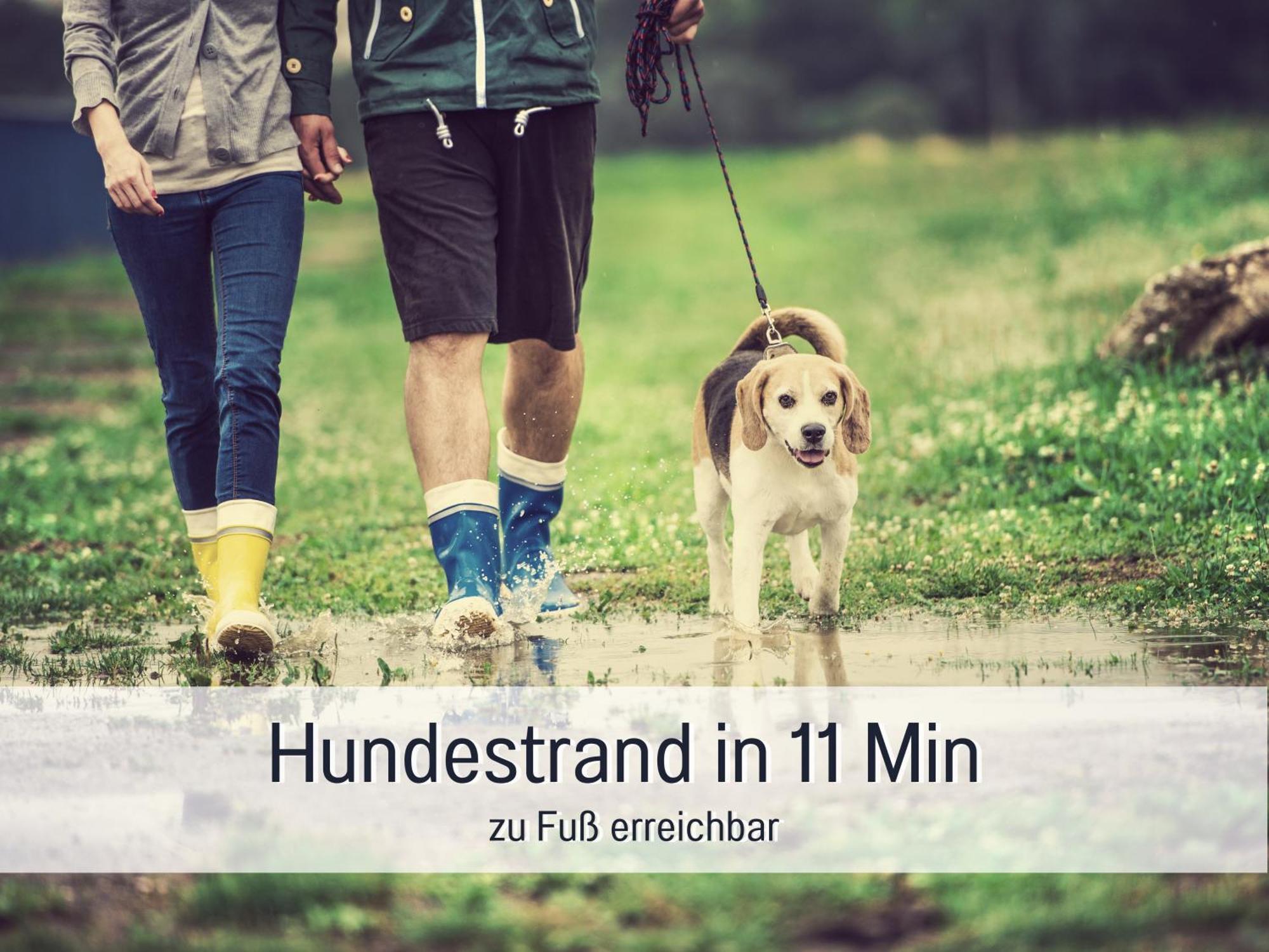 Ferienloft Sternenblick - Strandnah, Haustierfreundlich, Tolle Kueche, Optimal Fuer Workation, 4 Personen Steinberg  ภายนอก รูปภาพ