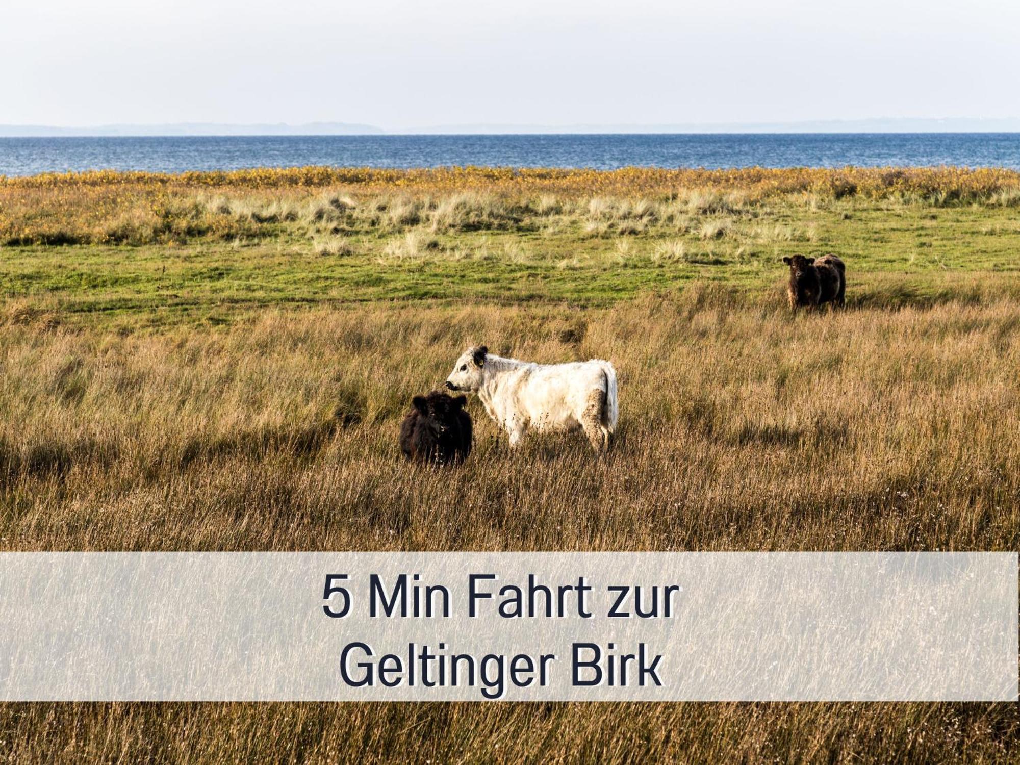 Ferienloft Sternenblick - Strandnah, Haustierfreundlich, Tolle Kueche, Optimal Fuer Workation, 4 Personen Steinberg  ภายนอก รูปภาพ